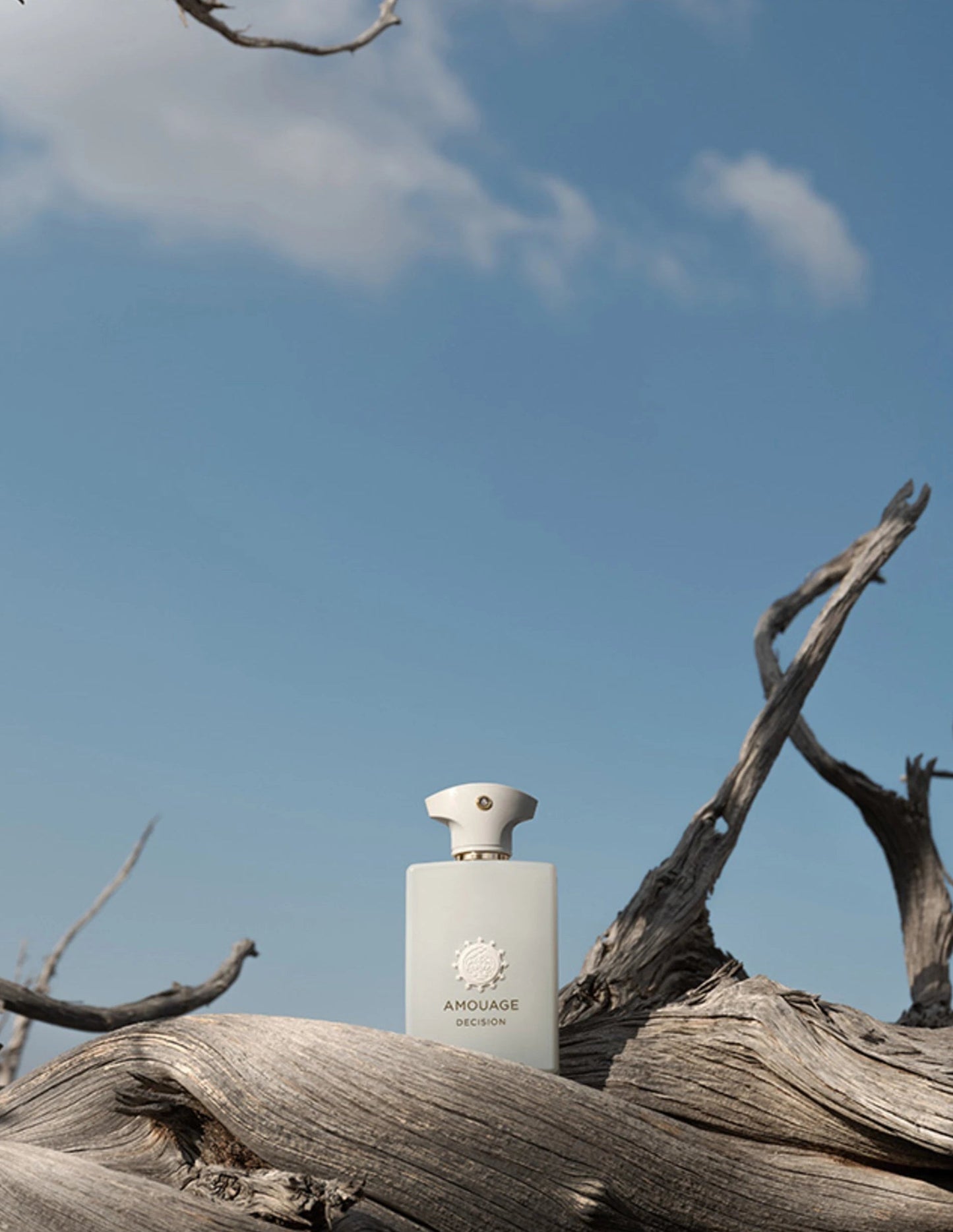 Decant | Amouage - Decision