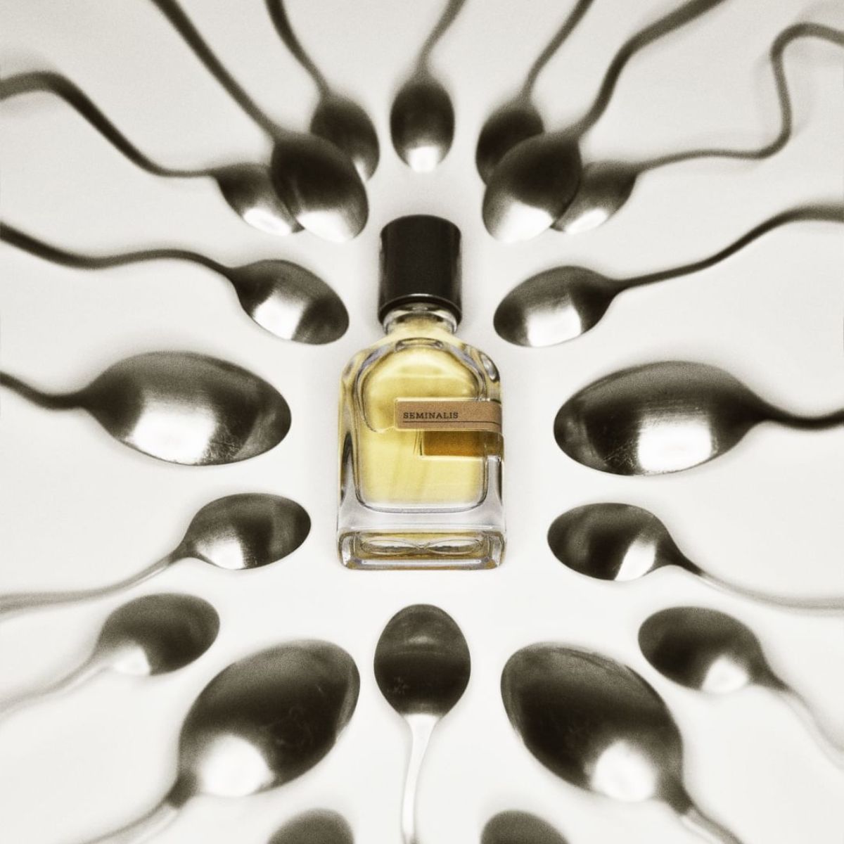 Decant | Orto Parisi - Seminalis