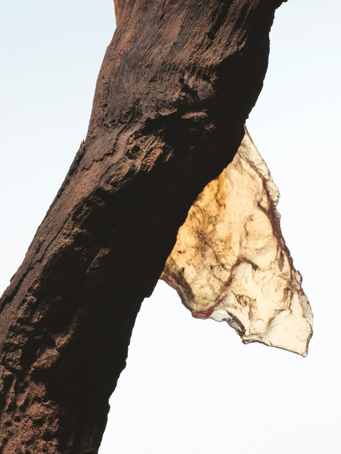 Decant | Dries Van Noten - Rock The Myrrh