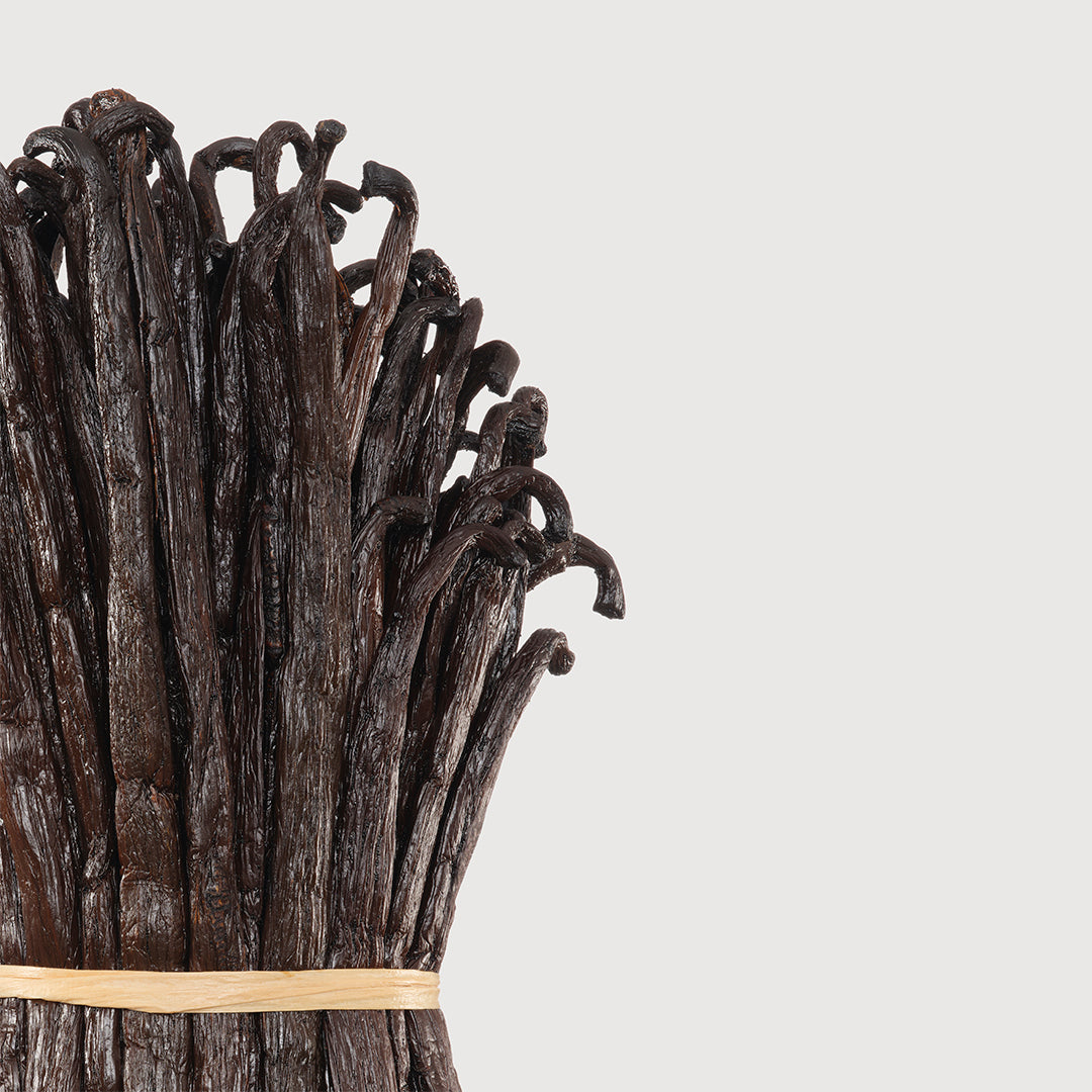 Decant | Matiere Premiere - Vanilla Powder Extrait