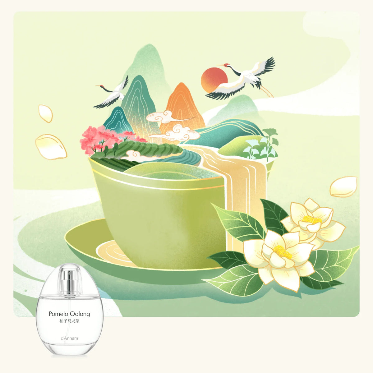 Decant | D’Annam – Pomelo Oolong