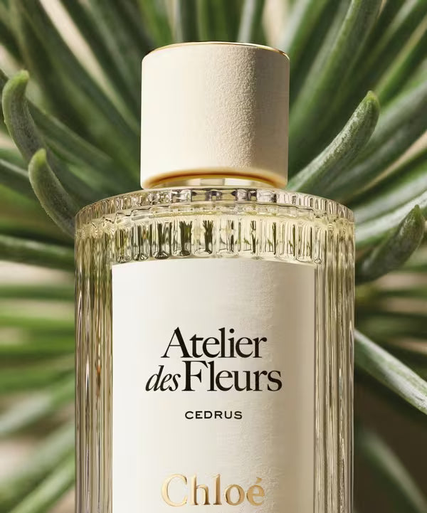 Decant | Chloe - Cedrus
