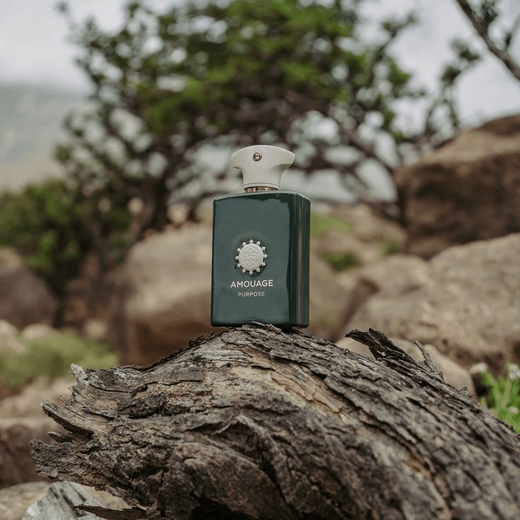 Decant | Amouage - Purpose