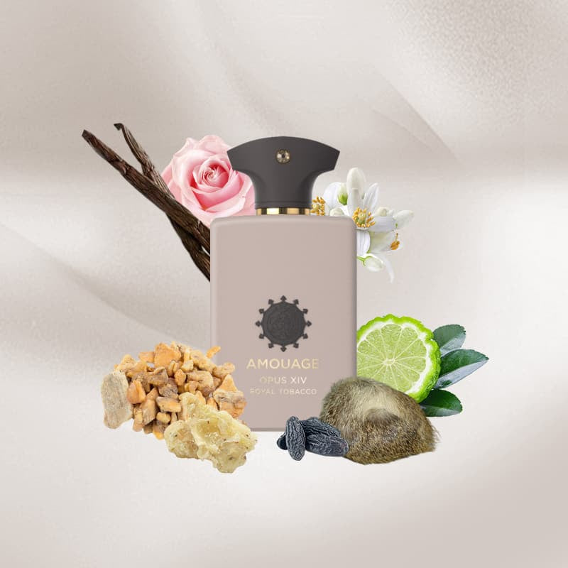 Decant | Amouage Opus XIV - Royal Tobacco