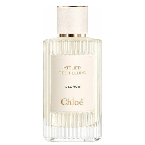 Decant | Chloe - Cedrus