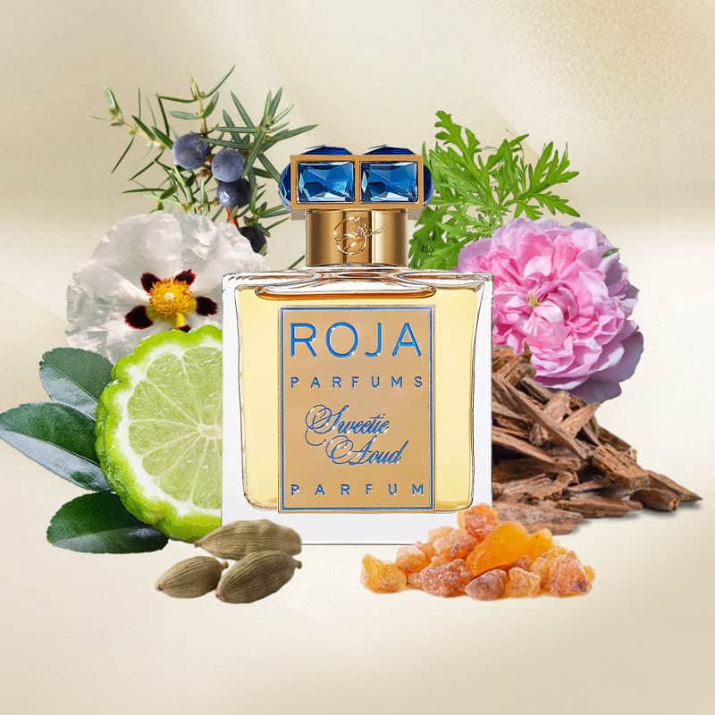 Decant | Roja Parfums - Sweetie Aoud