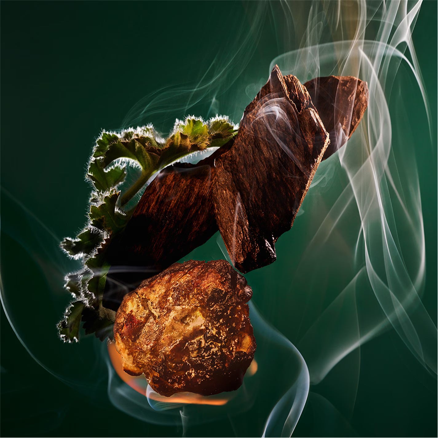 Decant | Bvlgari - Kobraa