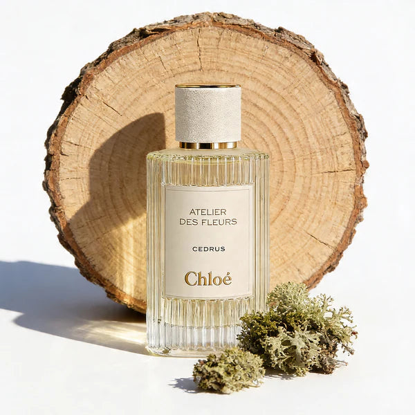 Decant | Chloe - Cedrus
