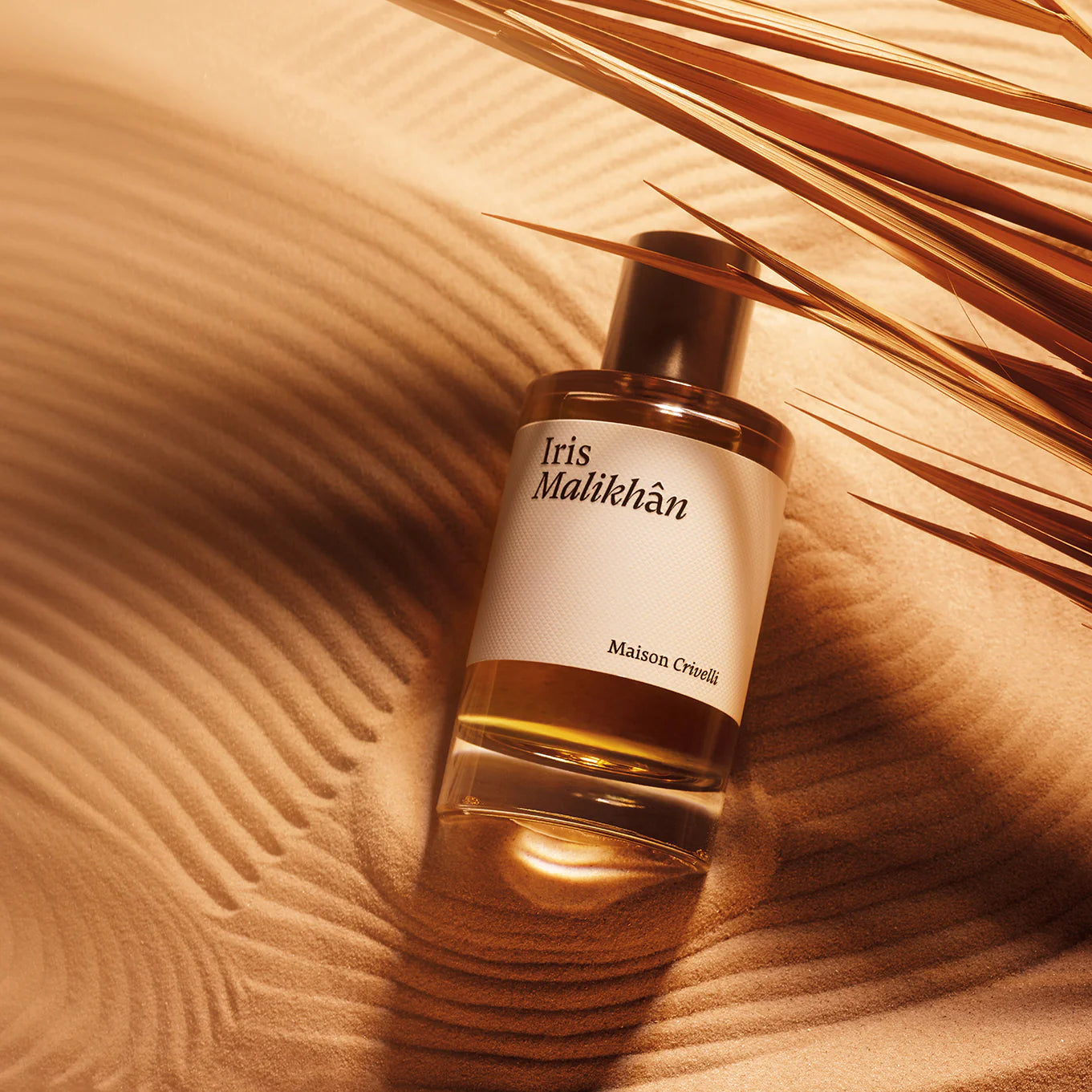 Decant | Maison Crivelli - Iris Malikhan