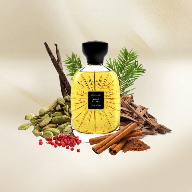 Decant | Atelier des Ors - Lune Feline