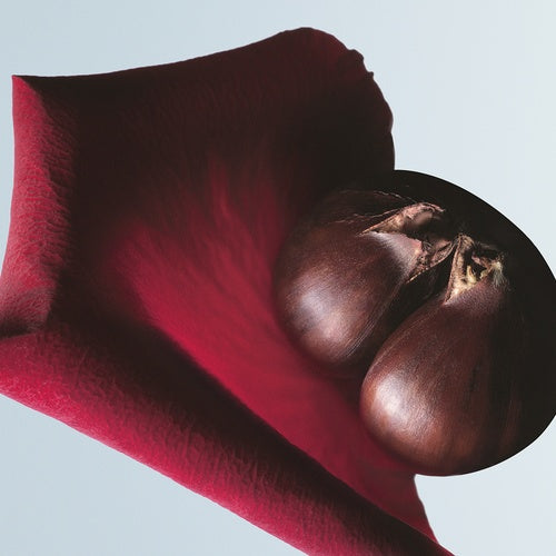 Decant | Dries Van Noten - Soie Malaquais