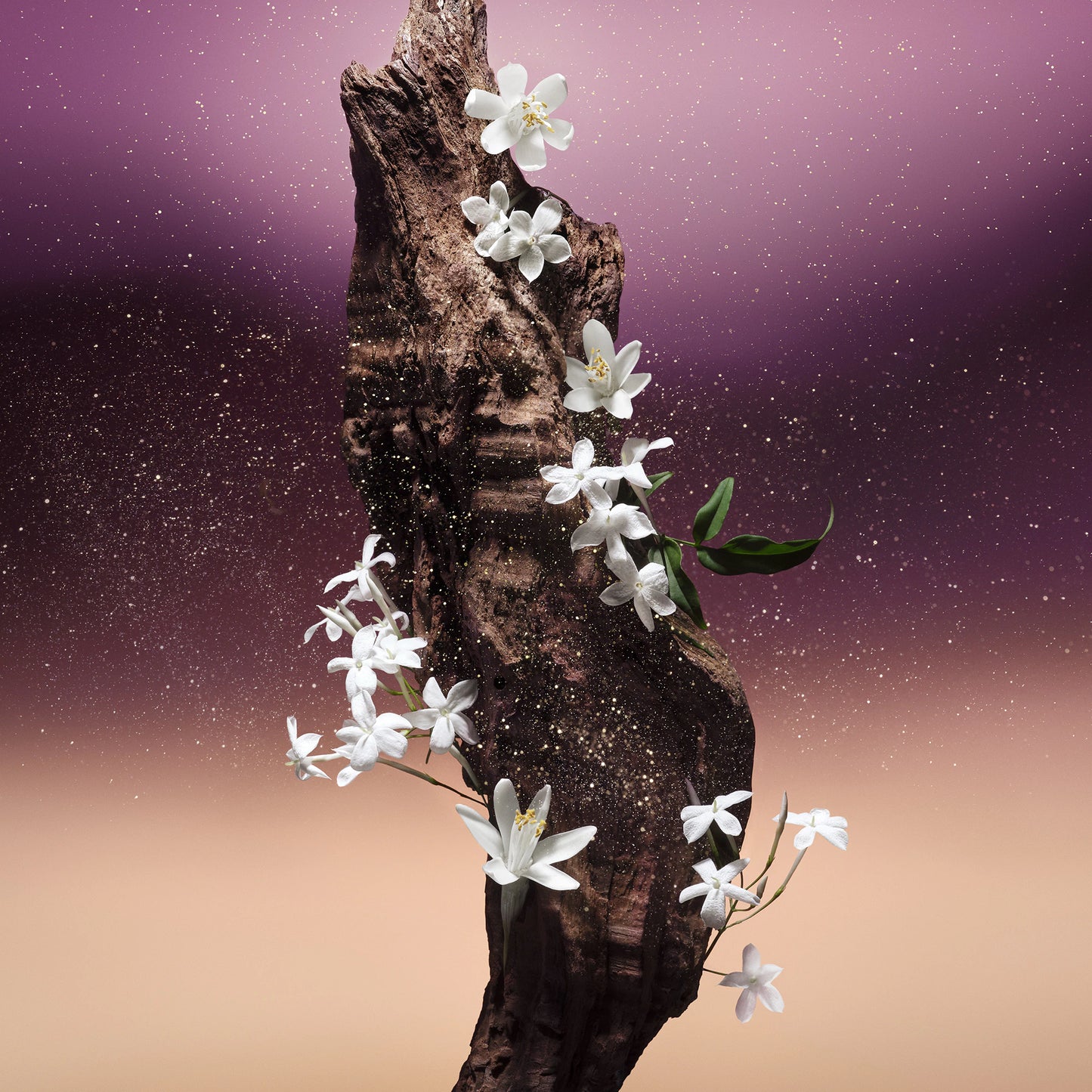 Decant | Louis Vuitton - Fleur du Desert