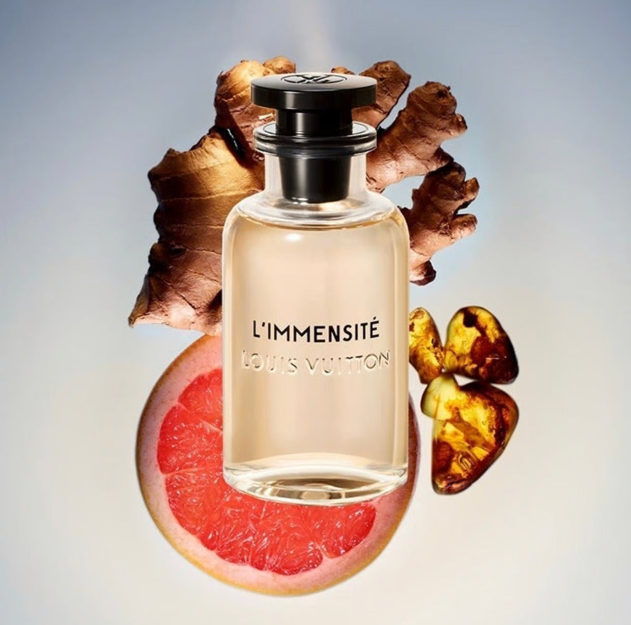 Decant | Louis Vuitton - L'Immensite