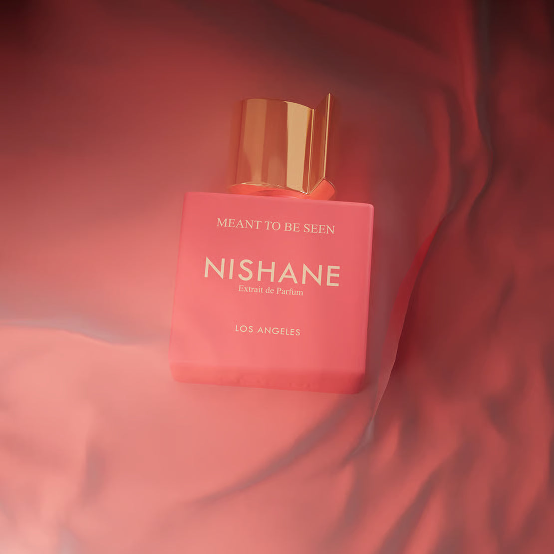 Decant | Nishane - Meant to be Seen