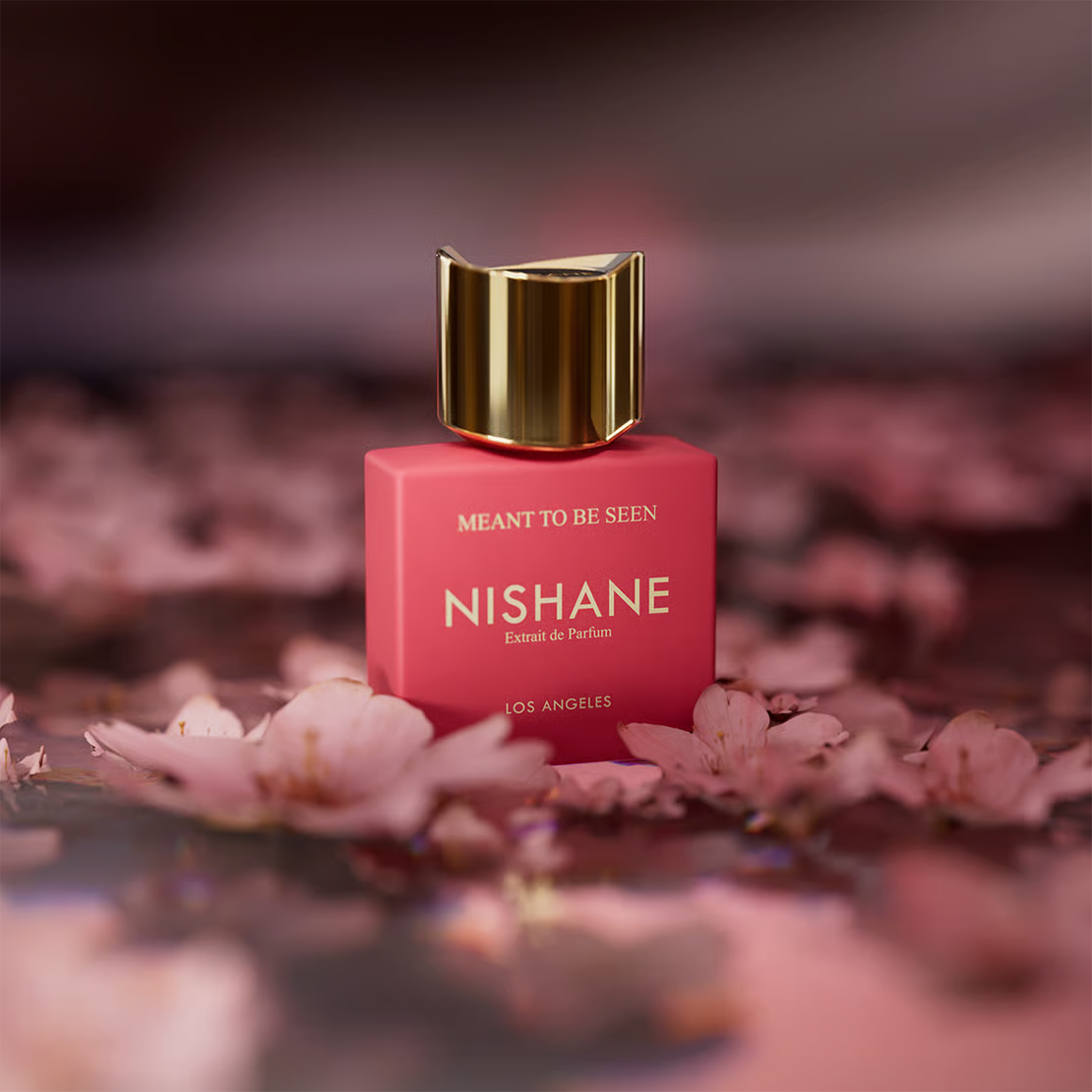 Decant | Nishane - Meant to be Seen
