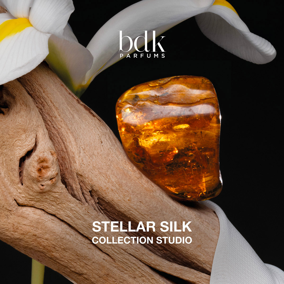 Decant | BDK Parfums - Stellar Silk