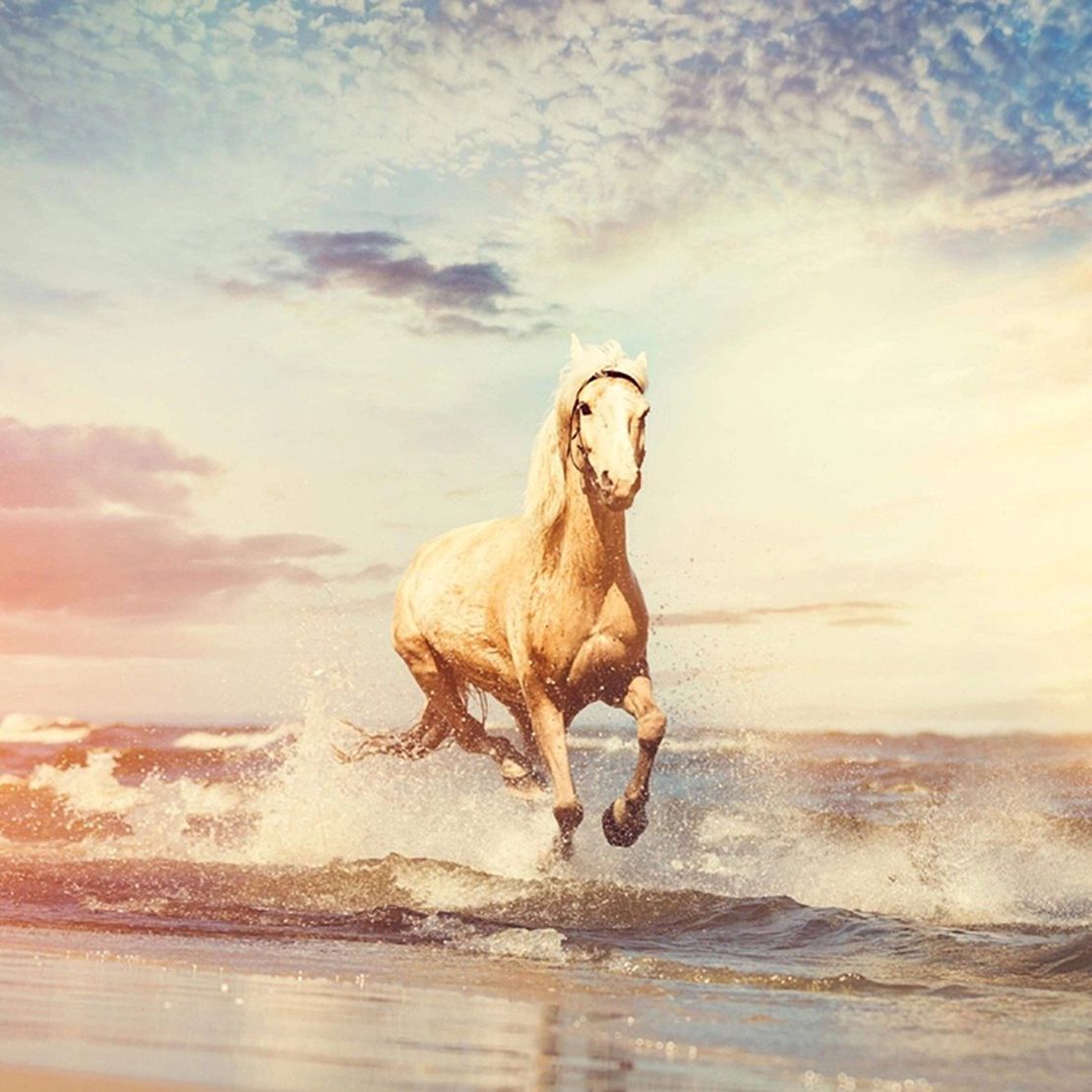 Decant | Boadicea - Valiant